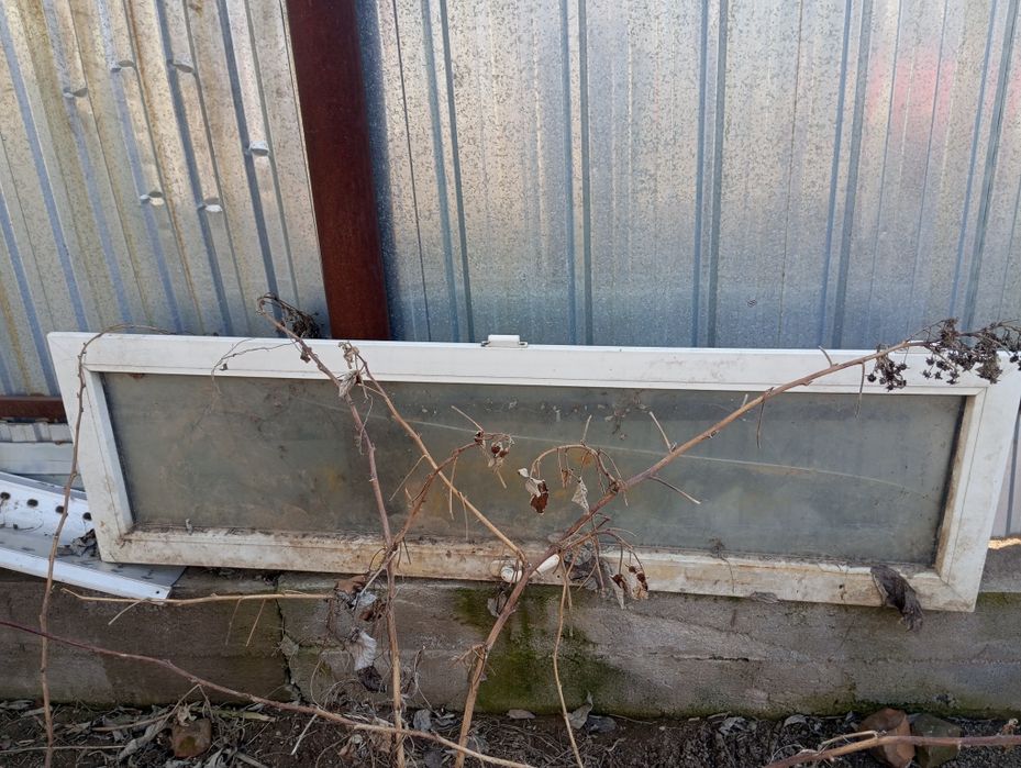 Отдам даром Только сейчас