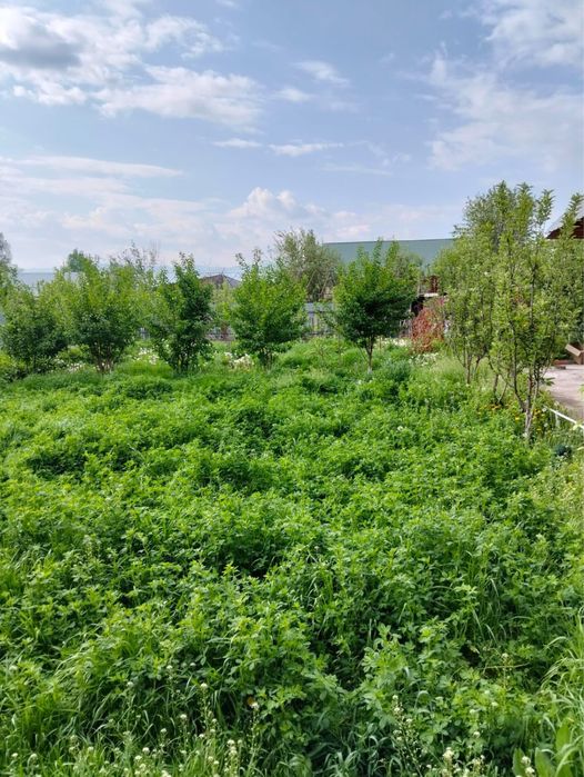 Продается дом. Алматиская обл., село Узынагаш