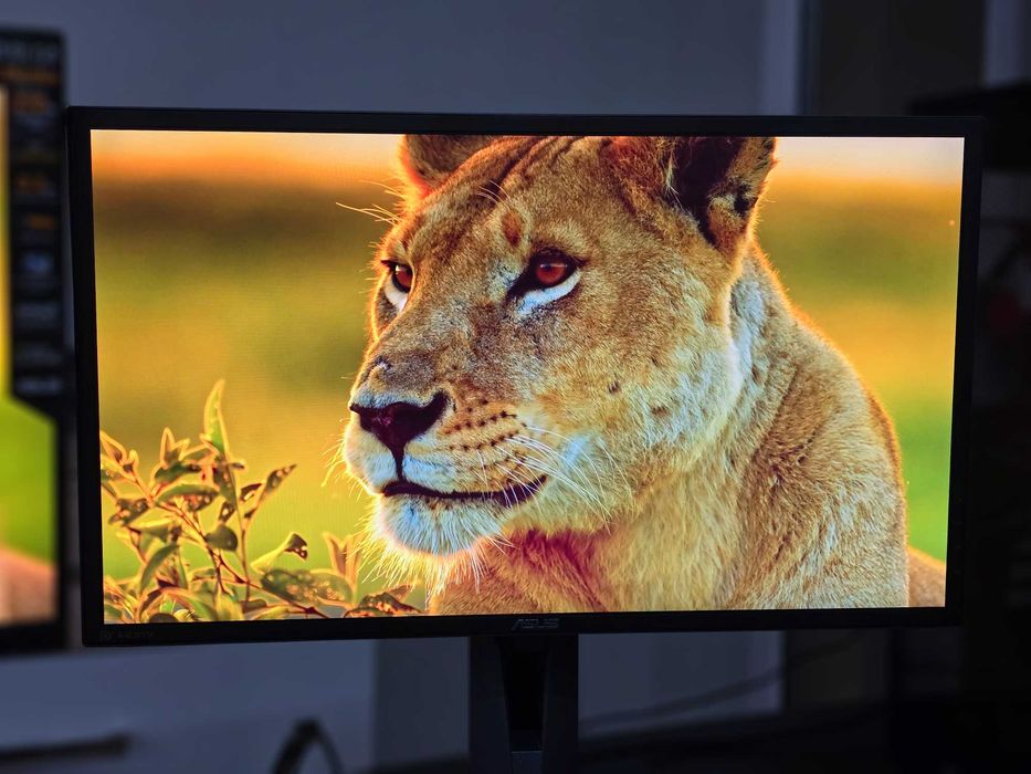 Геймърскки монитор Asus MG248QR - 24", 144 Hz , 1 ms , FreeSync
