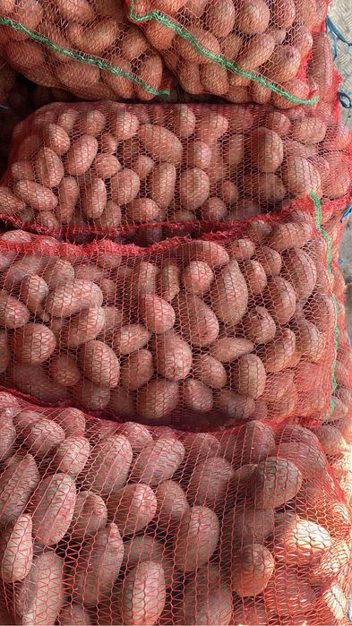 Vand cartofi alb/roz cu miez galben de consum si de saminta