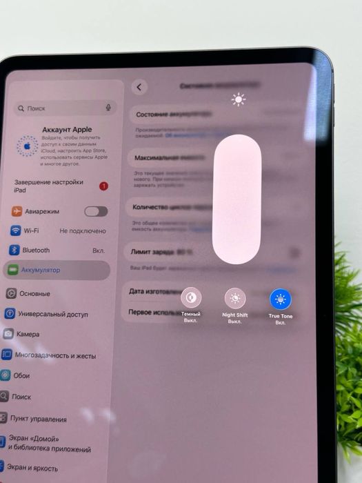iPad Pro 11-inch 256 gb M5