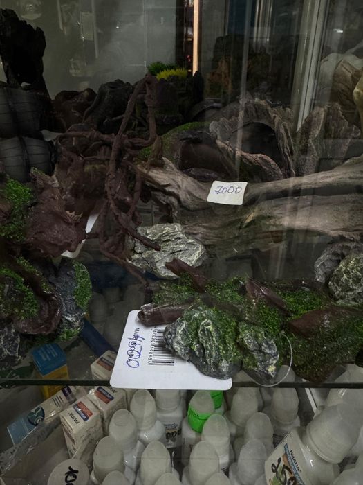 Аквариумные рыбки