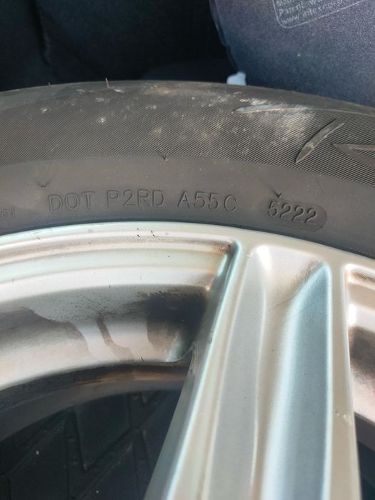 Vand avepole de iarna