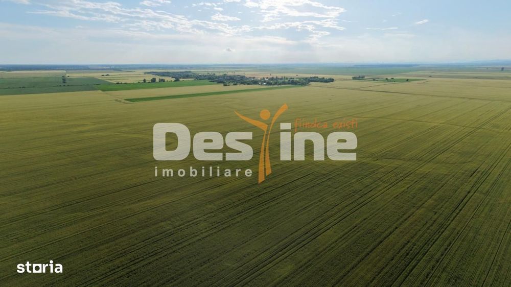 Teren extravilan, neimprejmuit, disponibil imediat, Dumbrava, Prahova
