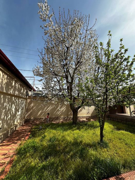 Продается Дом в элитной махалле САНИИФ Дурмон