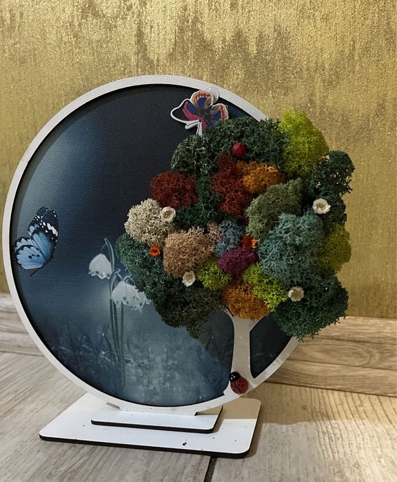 Ceasuri cu licheni.  Aranjamente din licheni