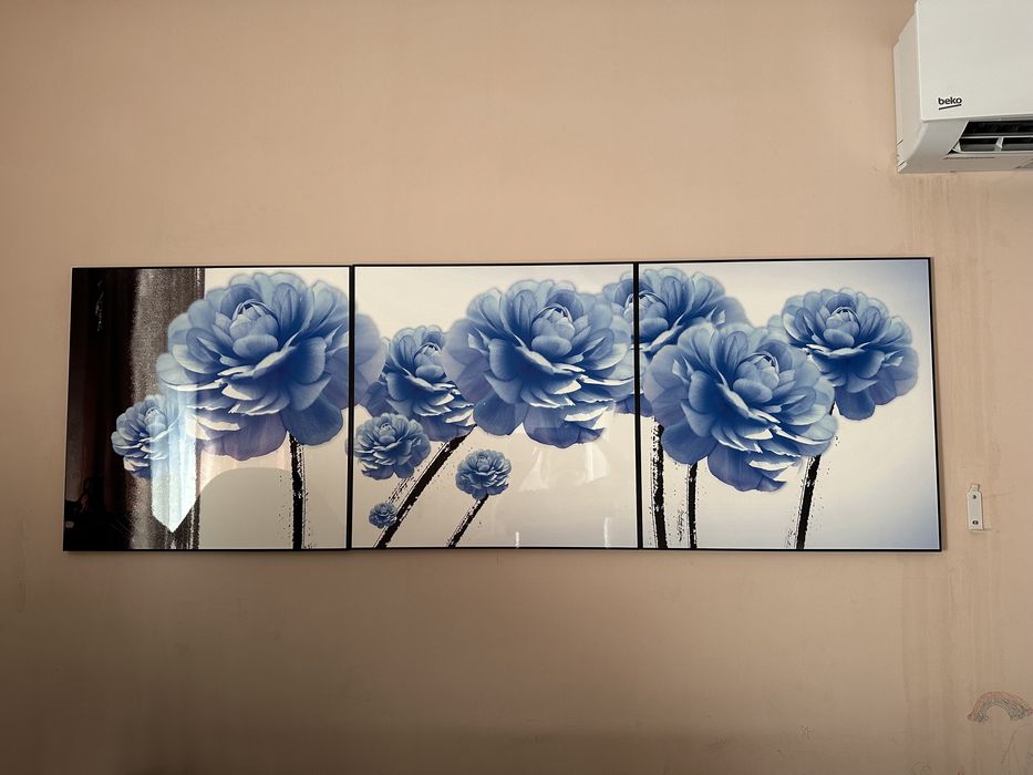 Картина, телевизор