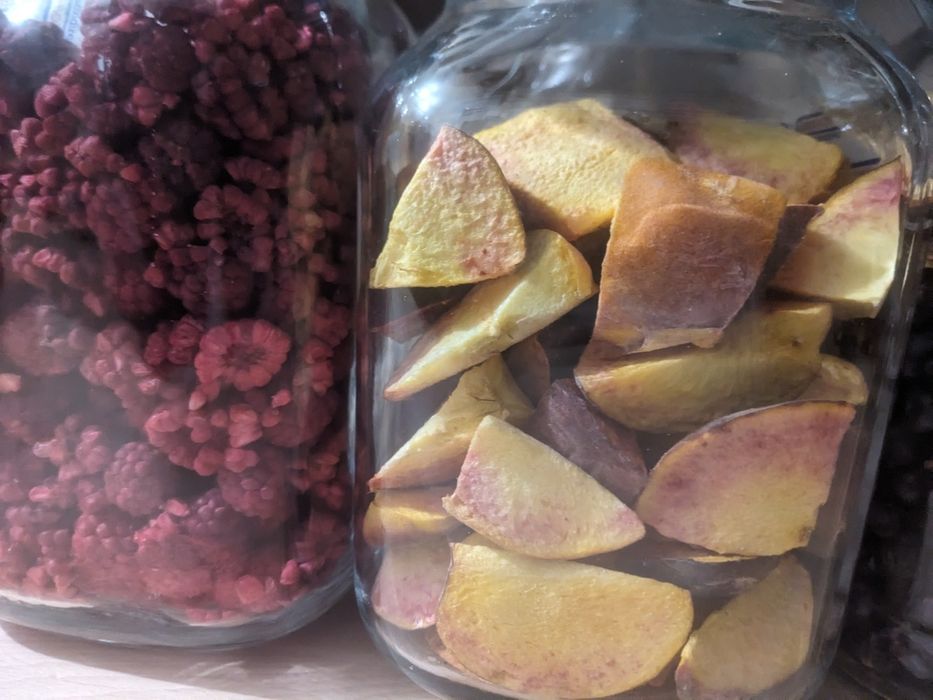 Fructe liofilizate, rosii, caise, pepene, morcovi, banane