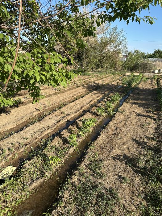 Продается дача на 1 водоколонке