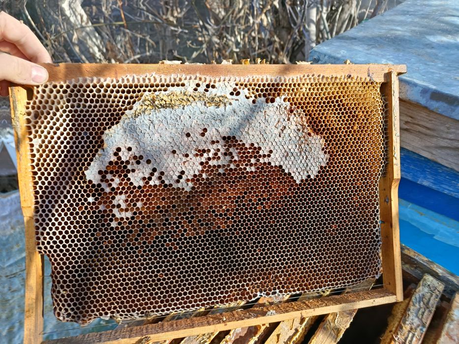 Сушь и рамки для пчел