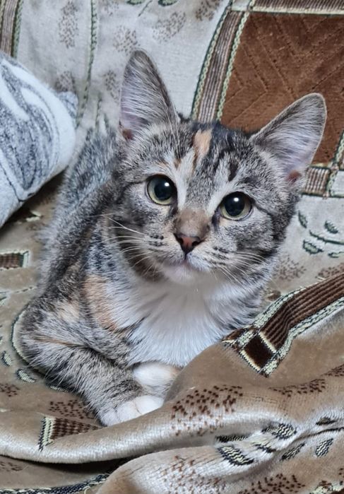 Шикарная девчуля 3х месяцев