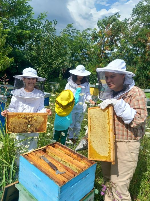 Ceara brută și lumânări naturale din ceara de albine!!