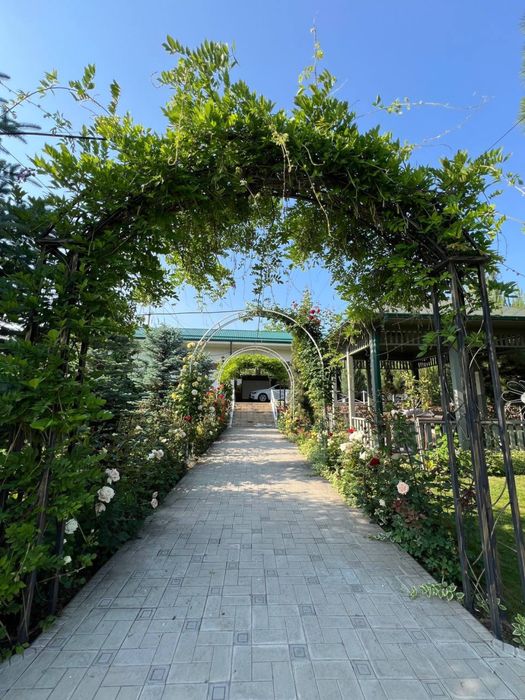 Dacha Manzara oqtosh 30 sotix darahzor