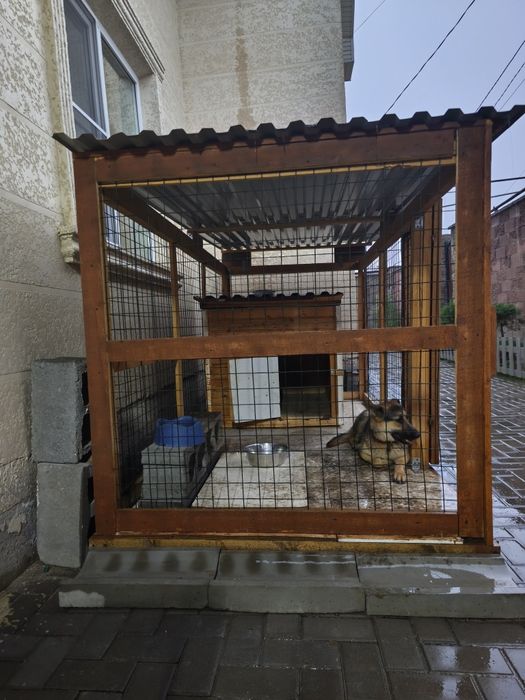 Немецкая овчарка
