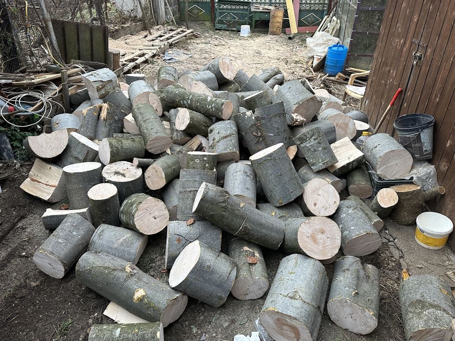 Lemn de foc BOCI BUTUCI