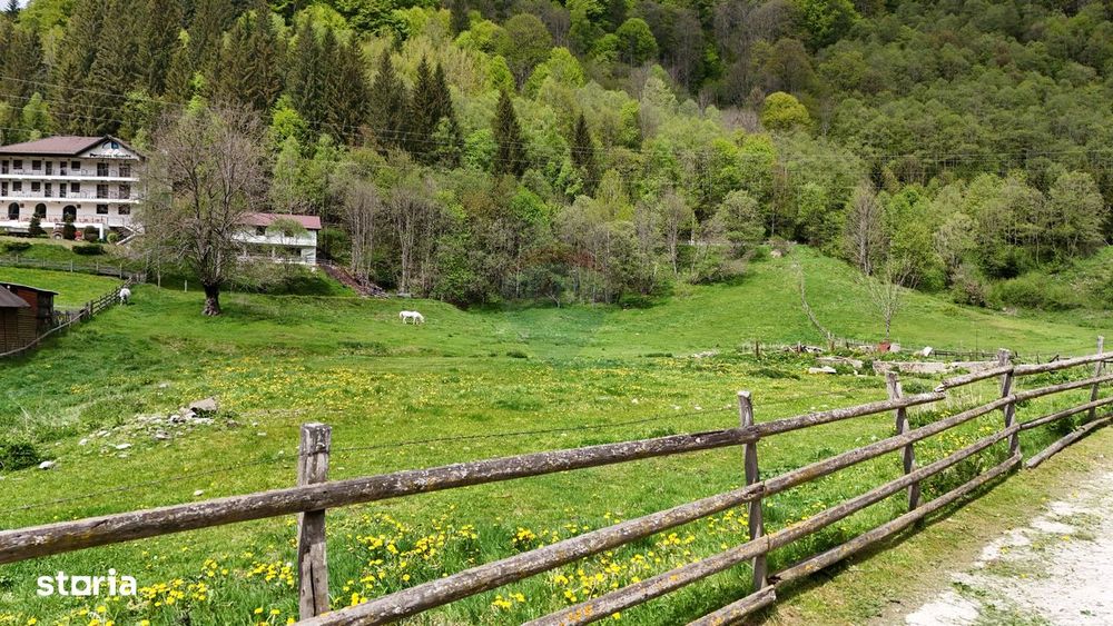 Intravilan | 10.000 mp| Sătic-Rucăr | Acces facil | Potențial excelent