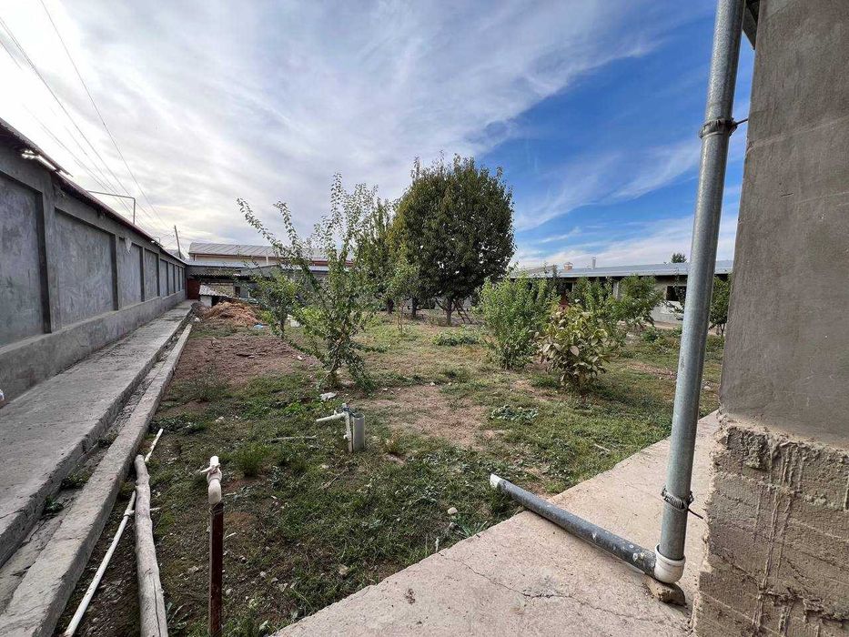 Arendaga joy 20 sotik