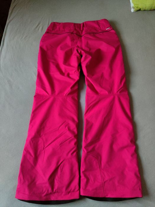 Pantaloni de schi Salomon L