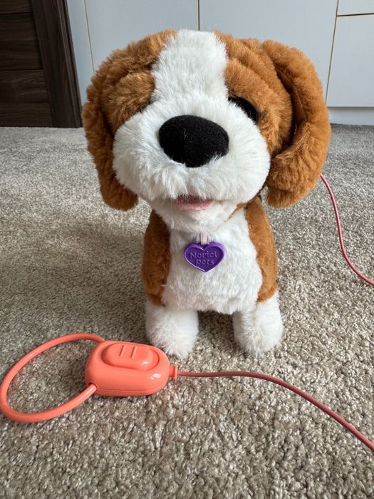 Catel plus interactiv Zigo Noriel