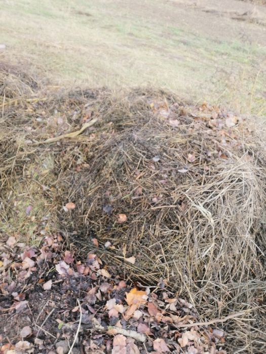 Preluam deșeuri vegetale