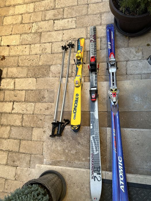 Schiuri adulti si copii