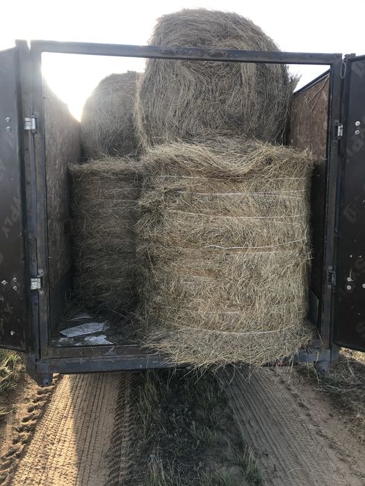 Продам сено в тюки-800т рулон 7000т
