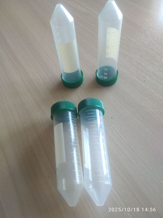 Steril Falcon kolbasi 50 ml tokchada (25 dona/stol)