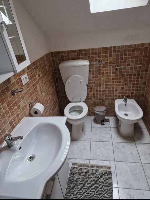 Vand casa de vacanta