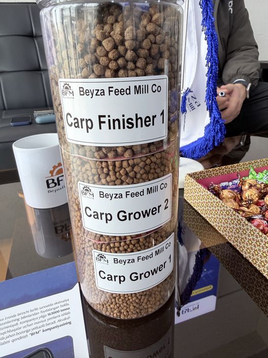 Сазан балиқлари учун тез семиртирувчи профессионал ем (оптом)