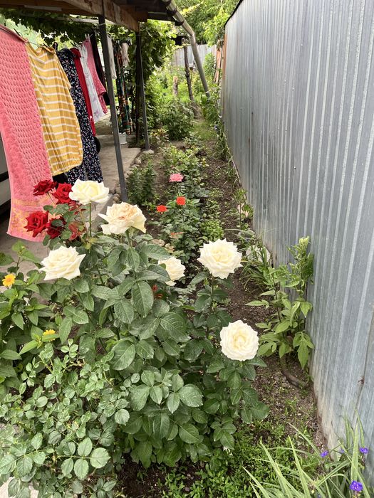 Продам дом в Талгаре