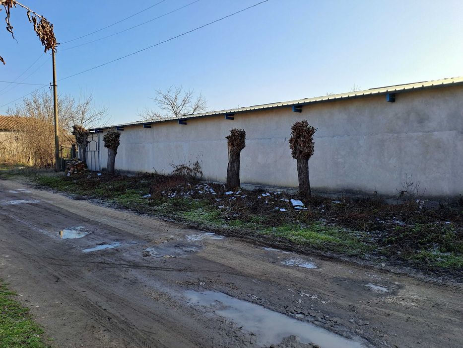 Цех Производствено помещение,Сушилня