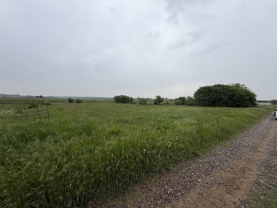 Teren de vânzare – Grădiștea, Ilfov | 2.000 mp | Ideal pentru casă sau investiție