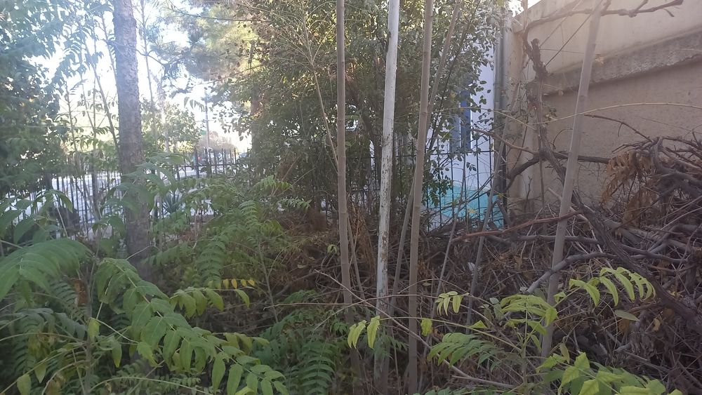 Utin bor maydalangan