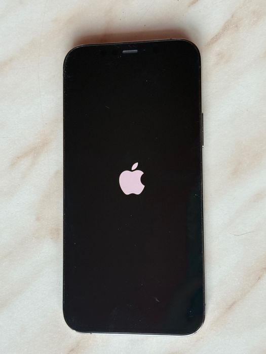iPhone 12 Pro 256 Мб