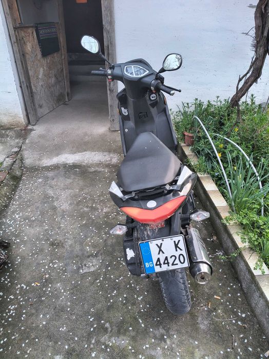 Kreidler Martinikque