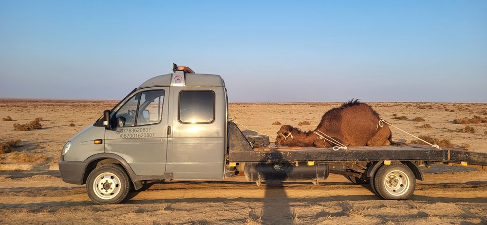 Эвакуатор қызметі
