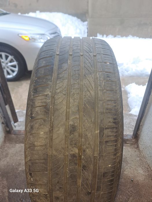 Японский болондар мягкии