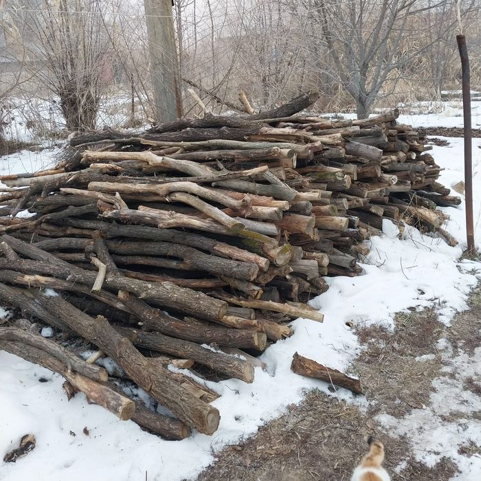 Дрова сухие продам
