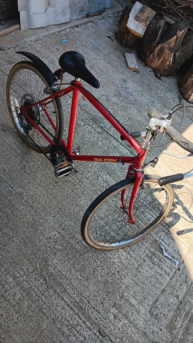 Semicursiera Raleigh