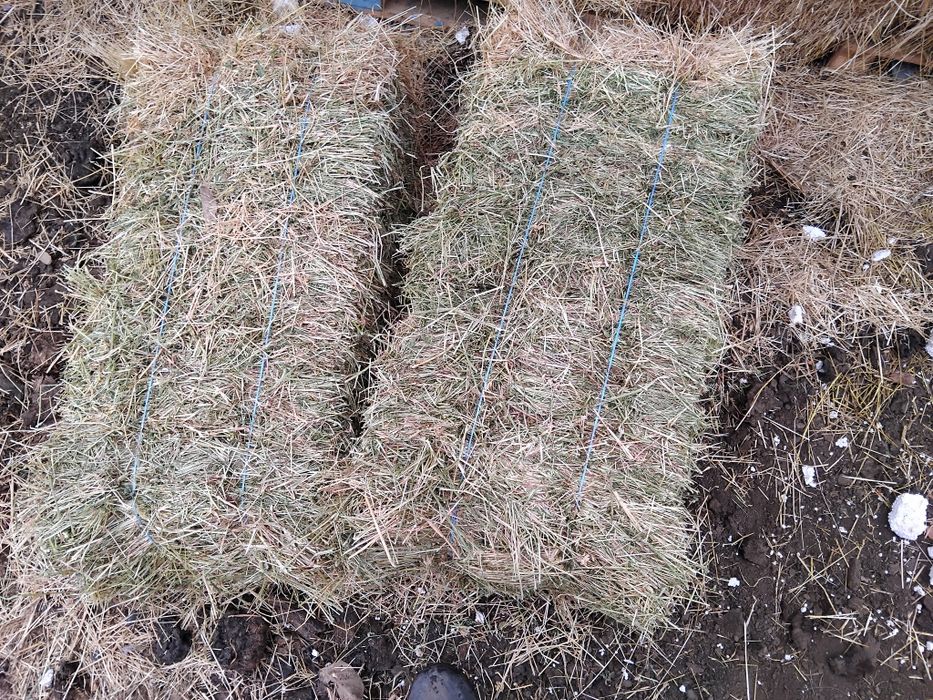 Baloți fan cu lucernă