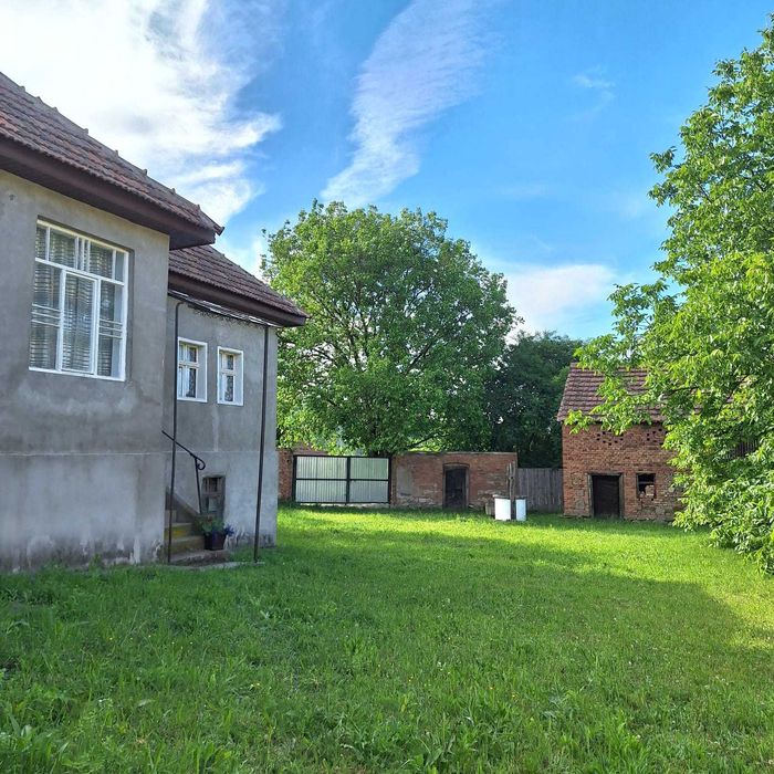 Casă de vânzare la tara în inima naturii – Ludești, județul Hunedoara