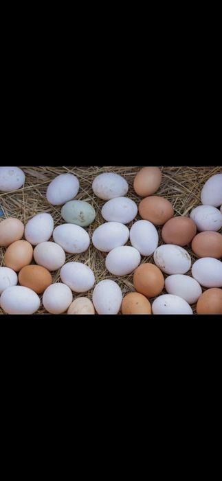 Тухимни  сифатлиги