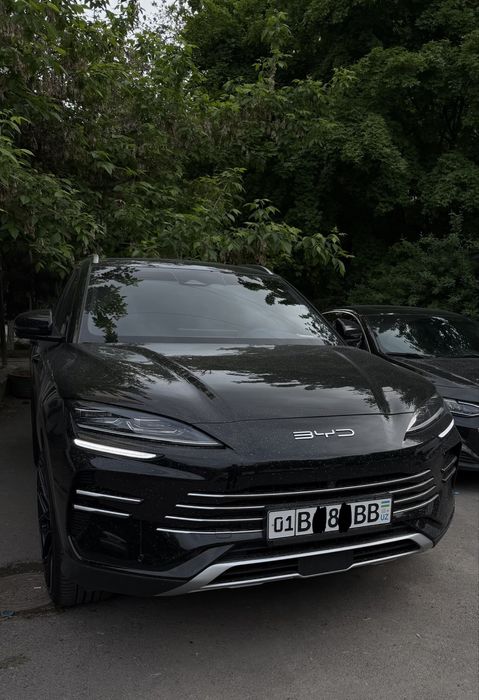 Ofitsialniy salon Byd song plus champion gibrid 2025