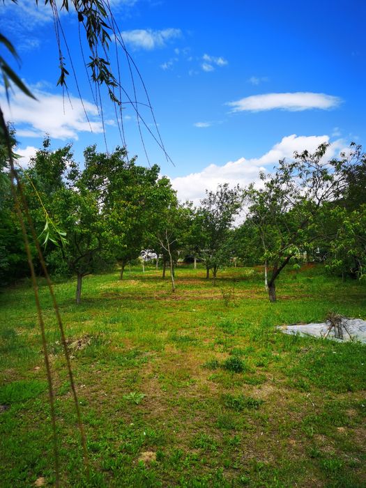 Vând casă la intrare în Malu Mare