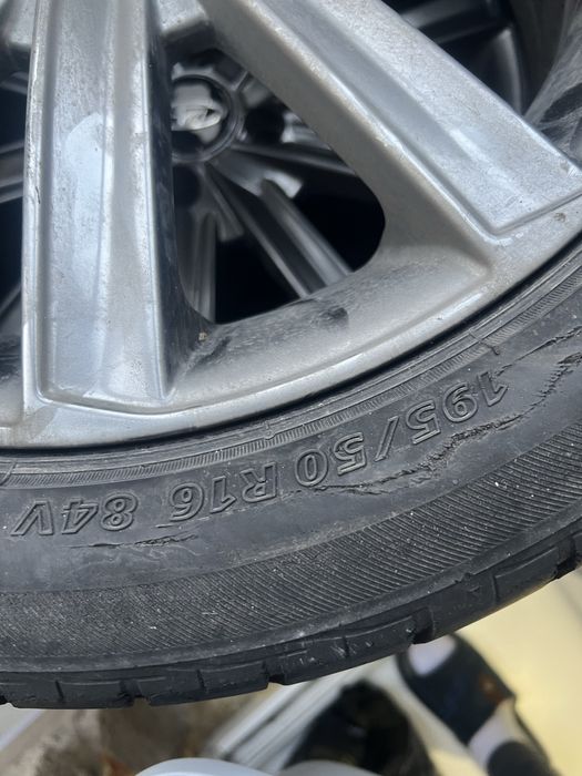 Продам камрики один сезон отездили