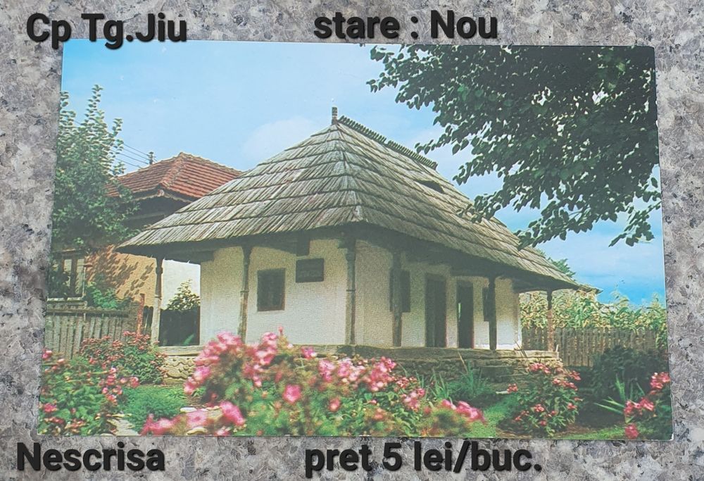 Cp Deva / Cp Tg.Jiu nescrise