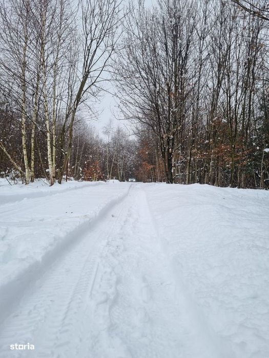 Teren extravilan 2200 mp, zona Calea Poplăcii, la 5 min de Valea Aurie