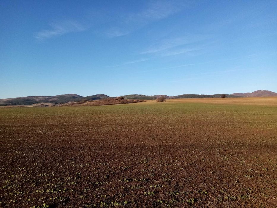 Дава се под наем Парцел в София, Връбница 1 - 1400 кв.м за 239.19 € - Снимка #2