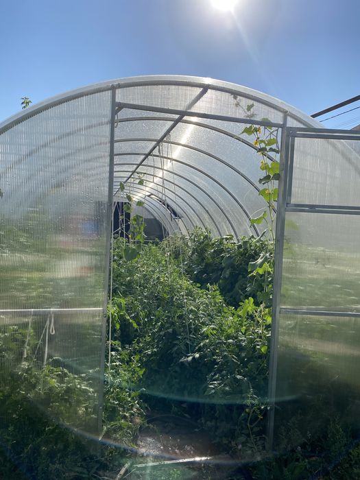 Срочно продам теплицу из поликорбаната