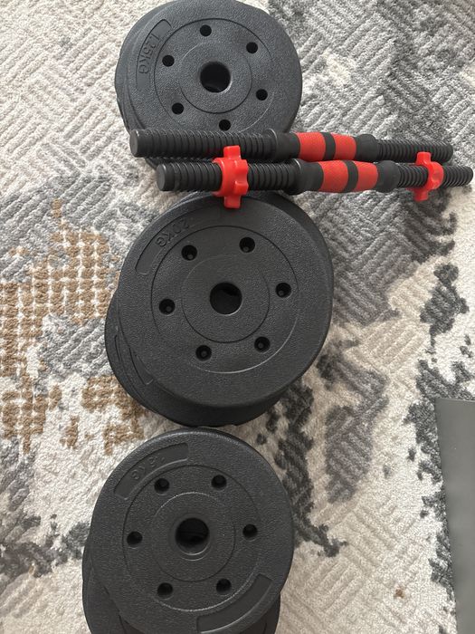 Диски для гантели разборный